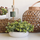 Arranjo Folhagem No Vaso Cerâmica Branco Baixo | Formosinha